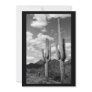 Saguaro Sentinel (AZ Sonoran Desert) Invitation