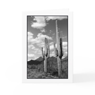 Saguaro Sentinels Greeting Card by donnabellas