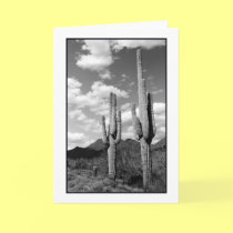 Saguaro Sentinels Greeting Card