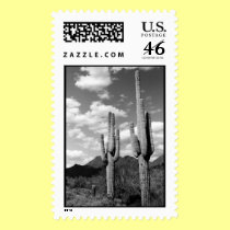 Saguaro Sentinels Stamp stamps