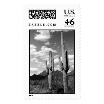 Saguaro Sentinels Stamp