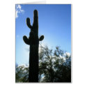 Saguaro Sky cards
