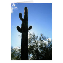 Saguaro Sky cards