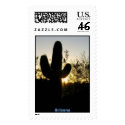 Saguaro Sunset, Arizona postage by moxieann Saguaro Sunset, Arizona postage