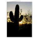 Saguaro Sunset cards