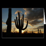Saguaro Sunset Card