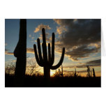 Saguaro Sunset Card