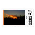 Saguaro Sunset postage by annienbart Saguaro Sunset postage
