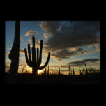 Saguaro Sunset Poster Print
