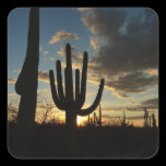 Saguaro Sunset Sticker