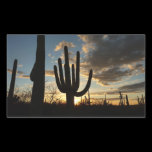 Saguaro Sunset Sticker