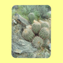 Saguaro Swirl Cactus Decorative Fridge Magnet magnets
