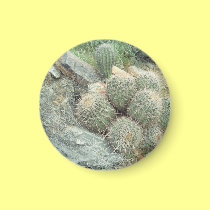 Saguaro Swirl Cactus Refrigerator Gift Magnet magnets