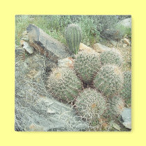 Saguaro Swirl Cactus Refrigerator Gift Magnet magnets