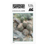 Saguaro Swirl Stamp