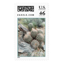 Saguaro Swirl Stamp