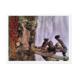 Saguaro Zombies Zombie 1 Postcard