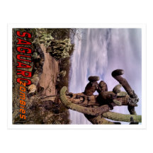 Saguaro Zombies Zombie 1 Postcard