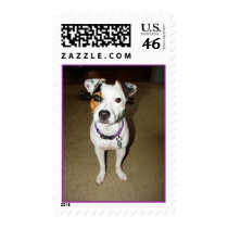 Sahanator postage