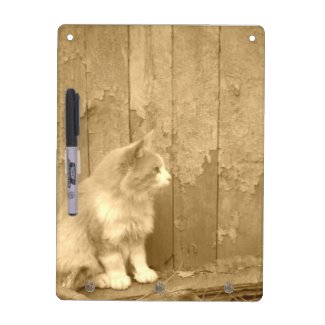 Sahara Cat in Sepia Dry Erase Board