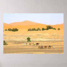 Sahara Desert - Camels and Erg Chebbi Print