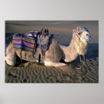 Sahara Desert near Merzouga, Morocco Poster