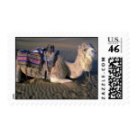 Sahara Desert near Merzouga, Morocco Stamps