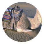 Sahara Desert near Merzouga, Morocco Sticker