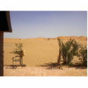 Sahara photo sculptures