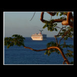 Sail Away at Sunset Postcard