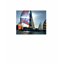 Sail Boat Ladies Spaghetti Top t-shirts
