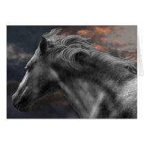 Sail on Silver Girl cards
