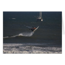 Sailboarder jumps a wave cards