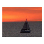 Sailboat at Sparkling Sea Postcard