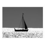 Sailboat at Sparkling Sea Postcard