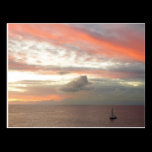 Sailboat in Sunset Postcard