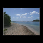 Sailboat in the Distance Postcard