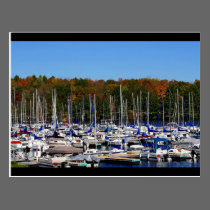 Sailboat Marina postcards