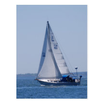 Sailboat Postcard