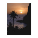Sailboat Sunset Postcard