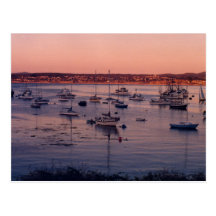 Sailboats and Sunsets Postcard