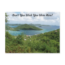 Sailboats At St.John postcards