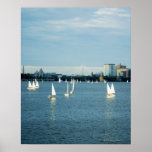 Sailboats in a river, Charles River, Boston, 2 Posters