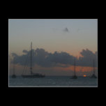 Sailboats in Sunset Postcard