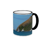 Sailboats in the Bay Mug