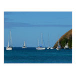 Sailboats in the Bay Postcard
