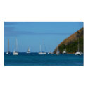 Sailboats in the Bay Print
