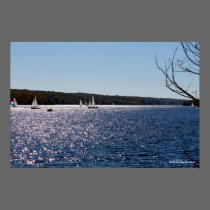 Sailboats on Lake, Photo By: Joe Dantone posters