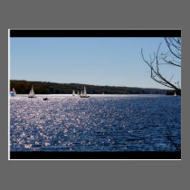 Sailboats on Lake postcards