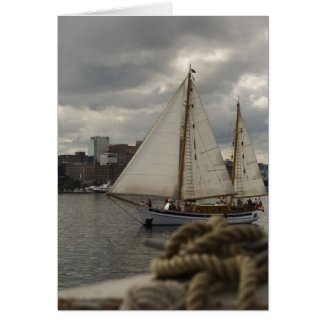 Sailing Across The Harbour Card card